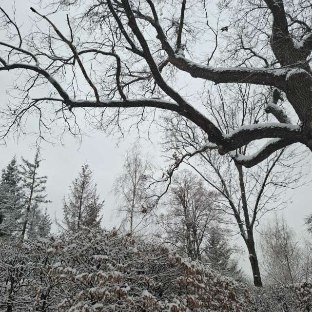 Wettervorhersagen mit schönen Fotos von Iryna