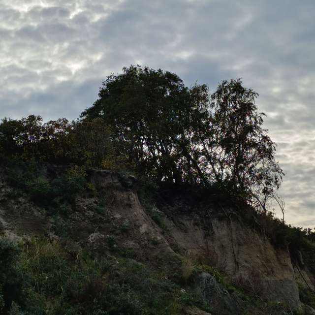 Fotos Corpo. Previsões do tempo com lindas fotos de Михаил Бондаренко em Pionerskiy