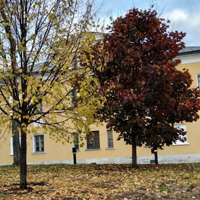 天气预报，带19Lora46精美的照片