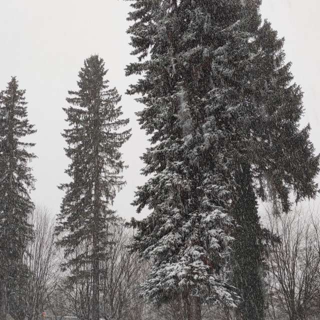 Kreuzen. Wettervorhersagen mit schönen Fotos von Kripo Fotos Ladek Zdroj