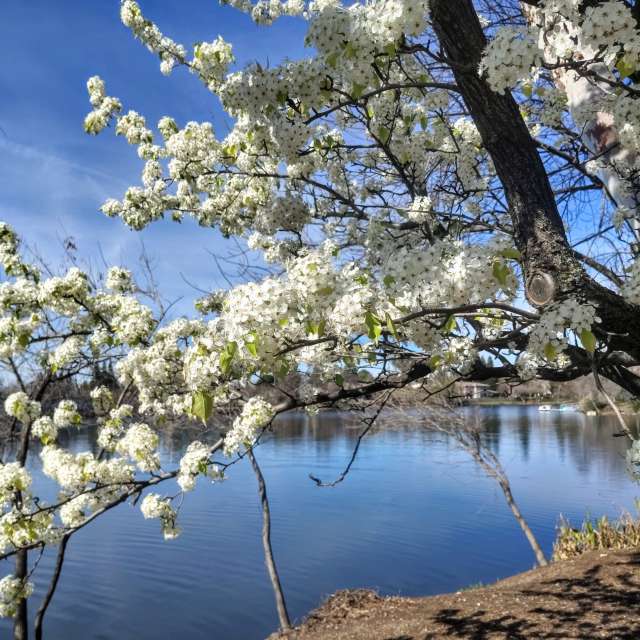 Прогнозы погоды с чудесными фотографиями, сделанными Ghostroku