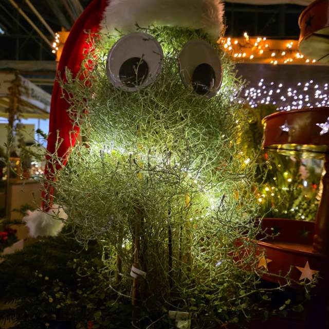 Fotos Vivendo. Previsões do tempo com lindas fotos de Seni em Velbert