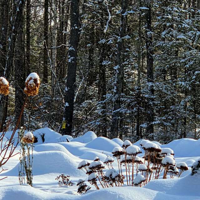 Pronósticos del tiempo con hermosas fotos de Kepi
