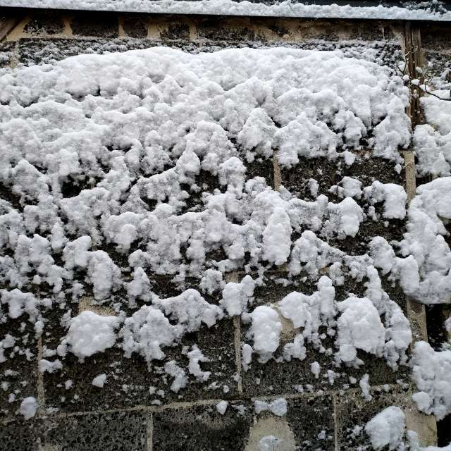 Previsões do tempo com lindas fotos de Clairette