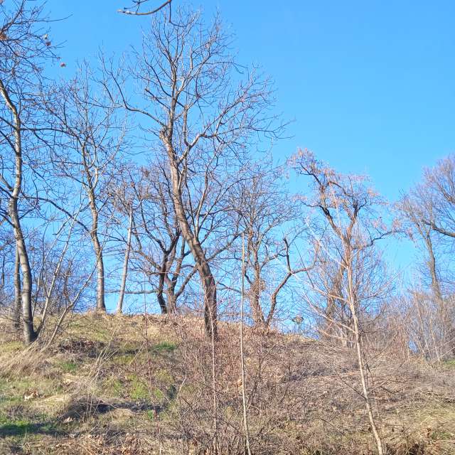 Fotos Colina. Previsões do tempo com lindas fotos de Anastacia24 em Praha 5