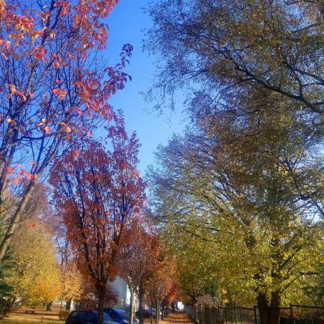Fotos Clima. Previsões do tempo com lindas fotos de Katy47 em Česká Třebová