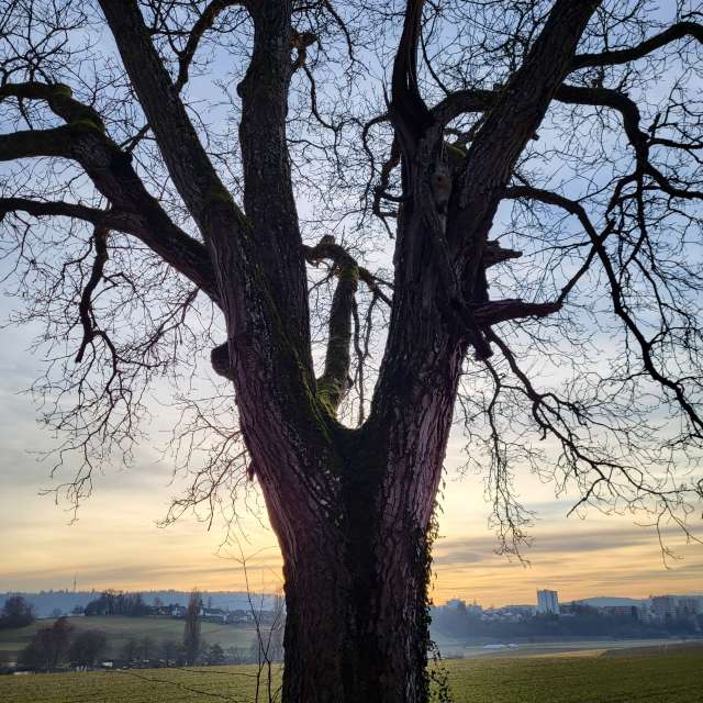 天气预报，带aida-khaldi精美的照片