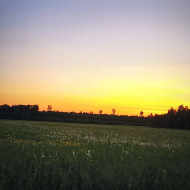 Landscape. Wettervorhersagen mit schönen Fotos von Valiukas Fotos Litauen