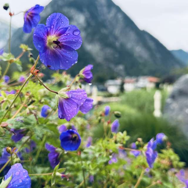 Prévisions météo avec de superbes photos de MrBlack