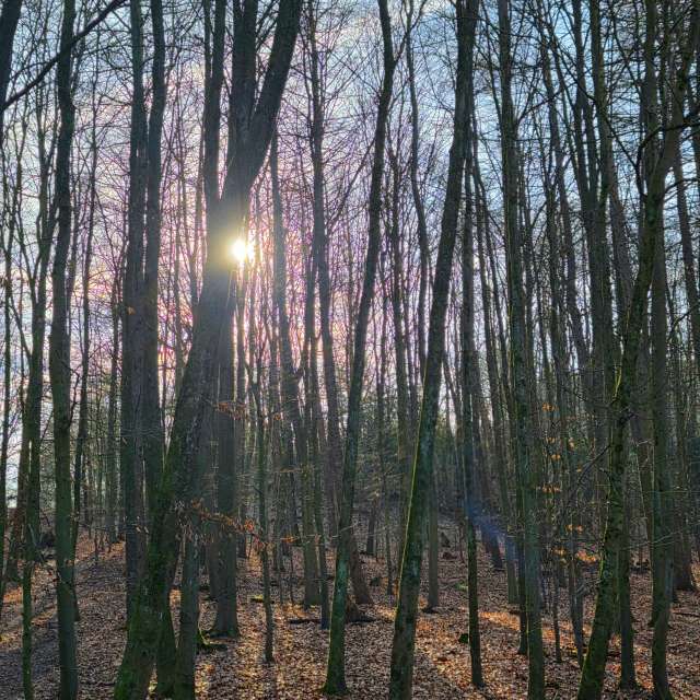 Prévisions météo avec de superbes photos de Seni