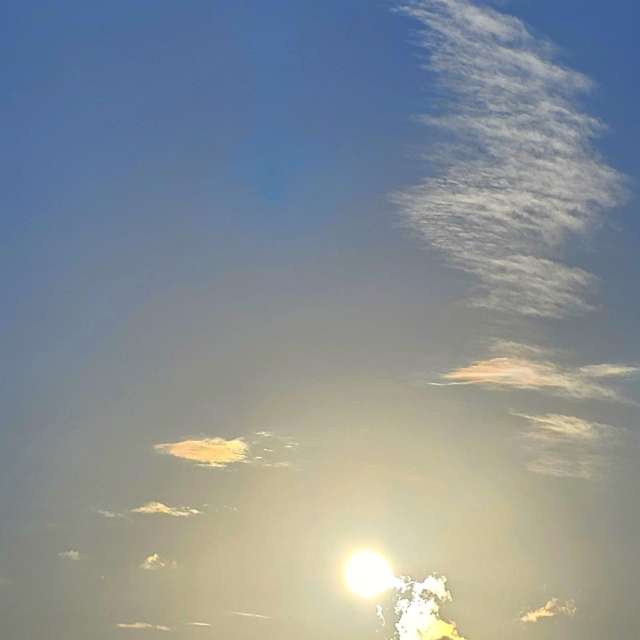 Flock. Weather forecasts with beautiful photos by Seni Photos in Velbert