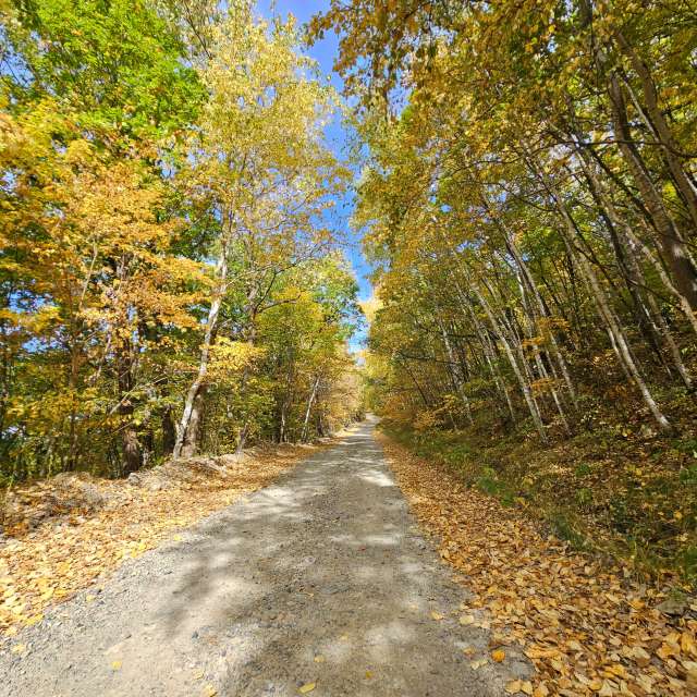 天气预报，带ImPe精美的照片