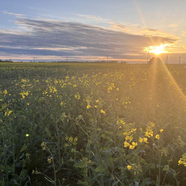 Weather. Weather forecasts with beautiful photos by Ewwa393 Photos in Code