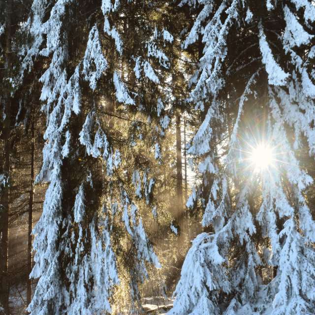 天气预报，带hejpetrpepa精美的照片