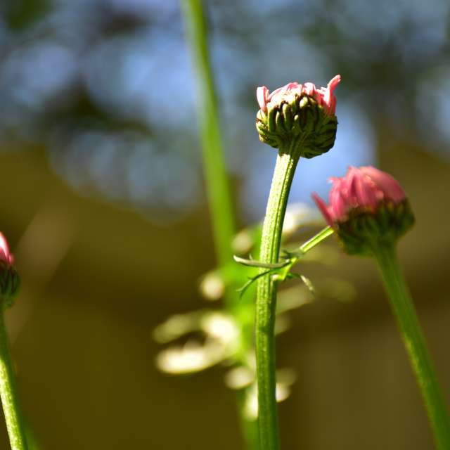 Weather forecasts with beautiful photos by 1stEyeFocused