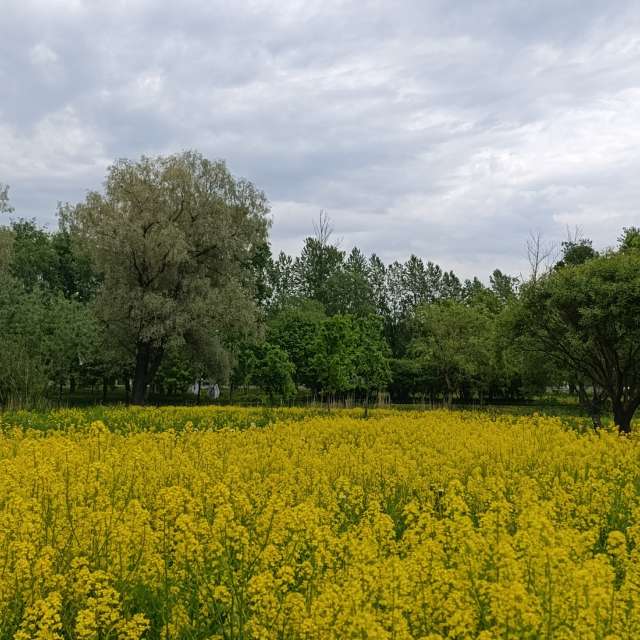 Weather forecasts with beautiful photos by Lena_Glukhova