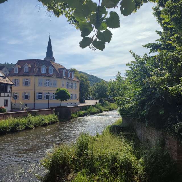 View. Weather forecasts with beautiful photos by Tercis Photos in Ettlingen