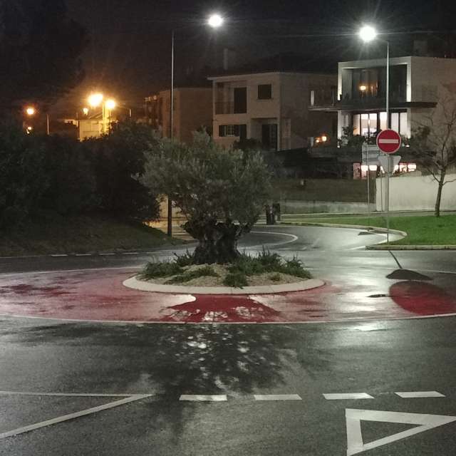 Prévisions météo avec de superbes photos de Joaquim Fonseca