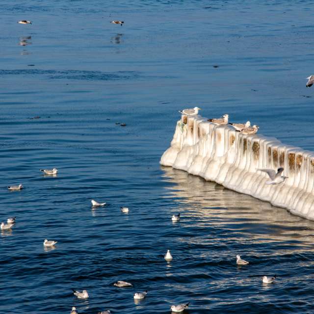 Прогнозы погоды с чудесными фотографиями, сделанными vintilator