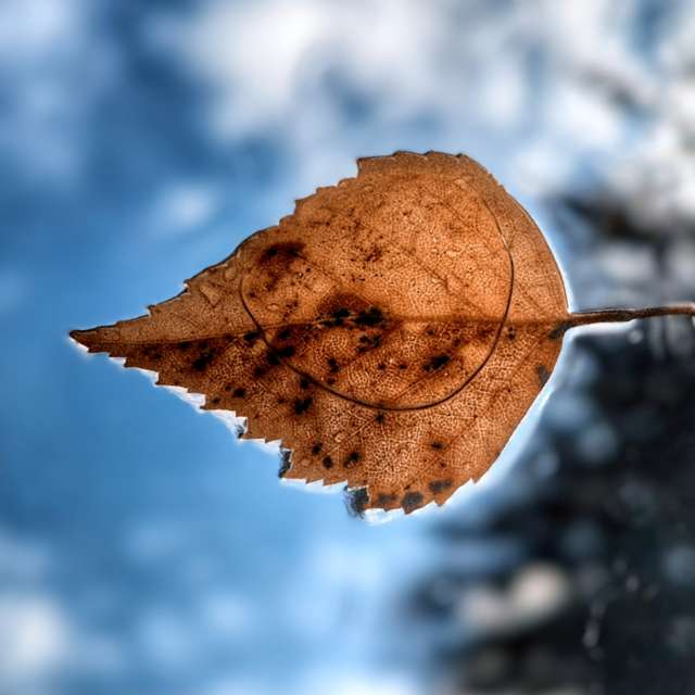 Wettervorhersagen mit schönen Fotos von Lotti5507