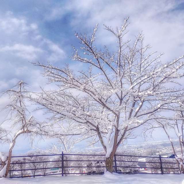 Weather. Weather forecasts with beautiful photos by Kasumisou Photos in Saku-shi