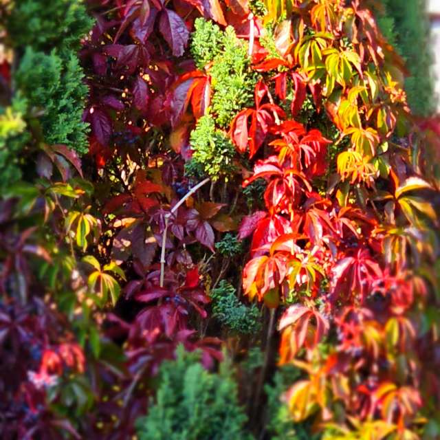 Фото Bank. Прогнозы погоды с чудесными фотографиями, сделанными Seni в Фельберт