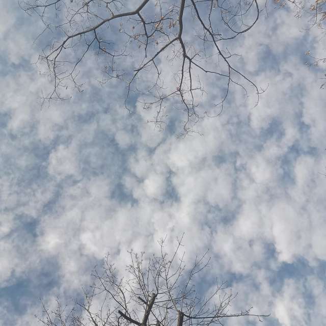 Fotos del Nieve. Pronósticos del tiempo con hermosas fotos de YanBog en București