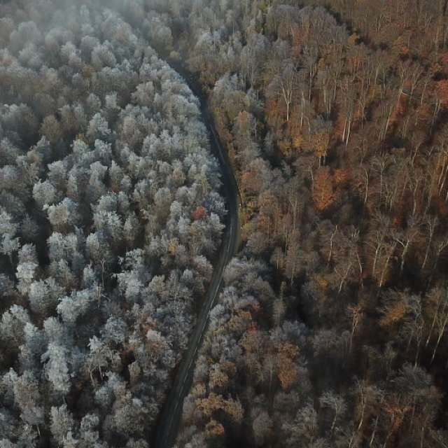 Weather forecasts with beautiful photos by Vcsaba22