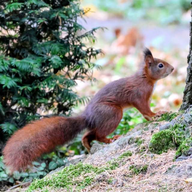Grass. Weather forecasts with beautiful photos by Lotti5507 Photos in Wellinghofen