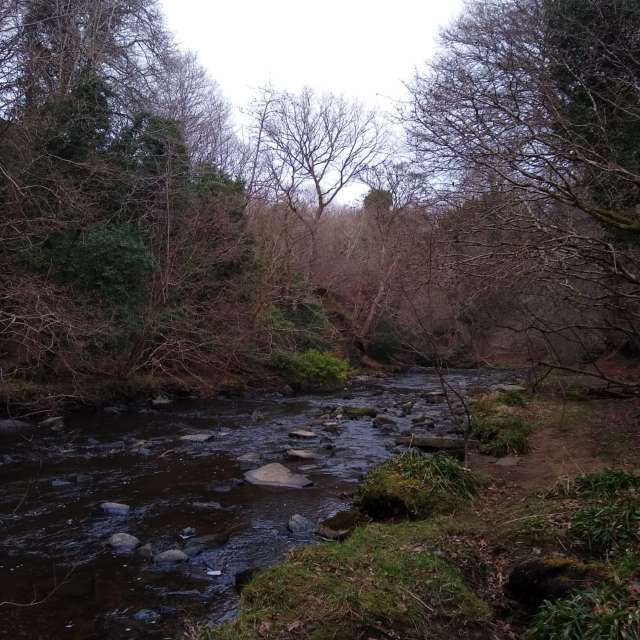 Pronósticos del tiempo con hermosas fotos de Fin71