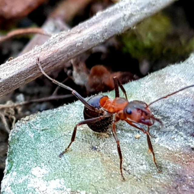 Weather forecasts with beautiful photos by Anett