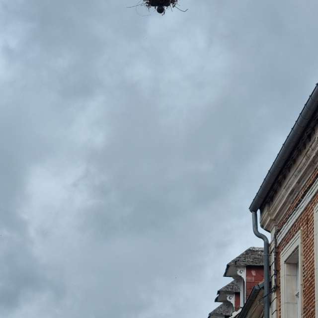 Weather forecasts with beautiful photos by DaB