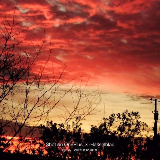 MsSlyの美しい写真による天気予報