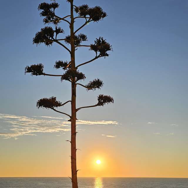 Weather forecasts with beautiful photos by Rosa