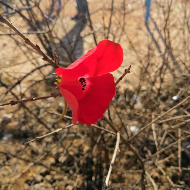 Weather forecasts with beautiful photos by Jess88