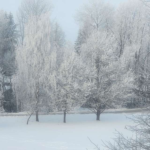 Pronósticos del tiempo con hermosas fotos de Sandra Bokisha