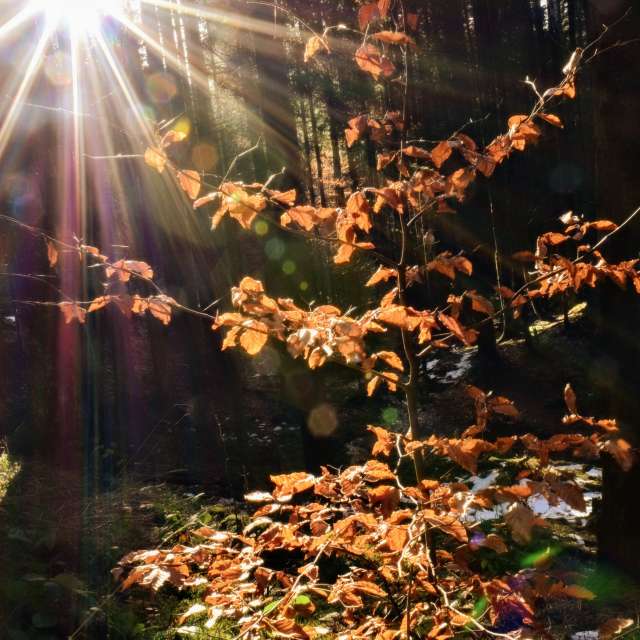 Fire. Weather forecasts with beautiful photos by hejpetrpepa Photos in Plzeň Region