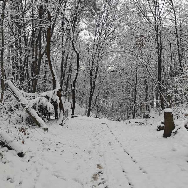 Weather forecasts with beautiful photos by zjabri