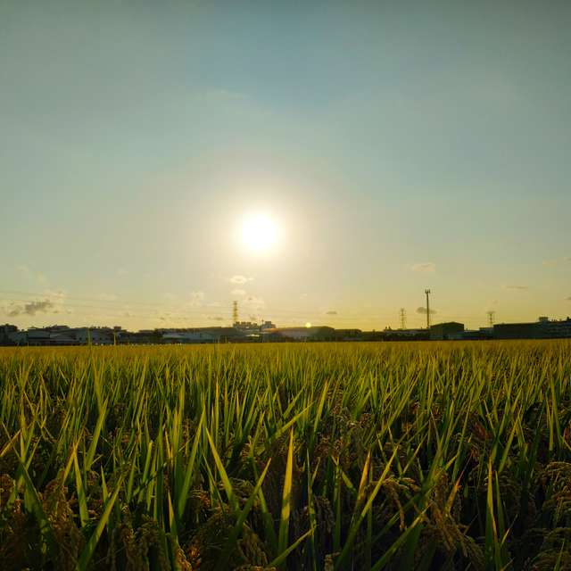 Weather Photos in World. Weather forecasts with beautiful photos by Tch