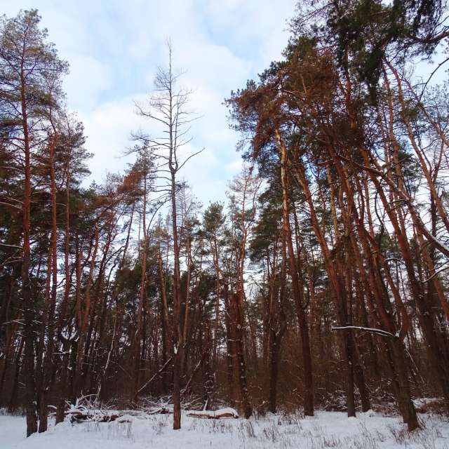 Country. Weather forecasts with beautiful photos by Михаил Гавриков Photos in Kharkiv