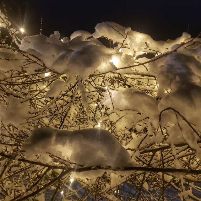 Germany. Weather forecasts with beautiful photos by Wanderstiefel Photos in World