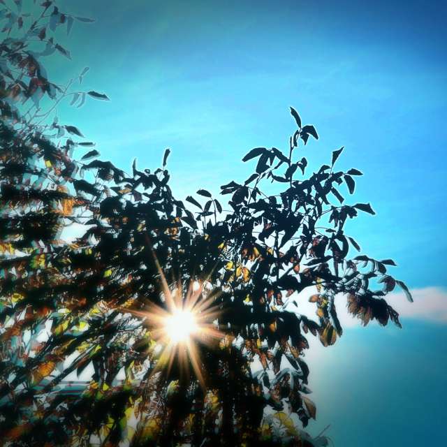 Прогнозы погоды с чудесными фотографиями, сделанными ConstantinR