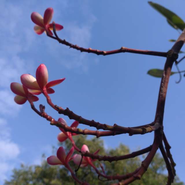 Photos Vol. Prévisions météo avec de superbes photos de Wen-ya Huang de Kaohsiung