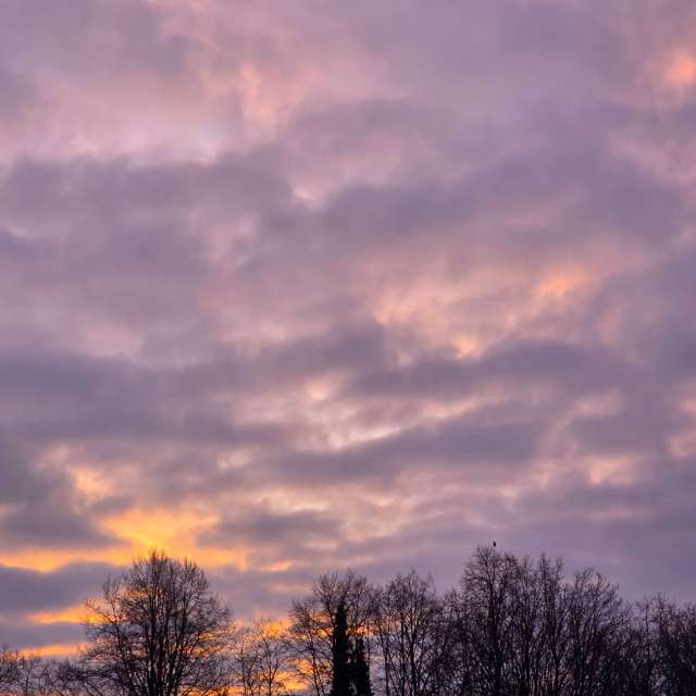 Prévisions météo avec de superbes photos de Seni