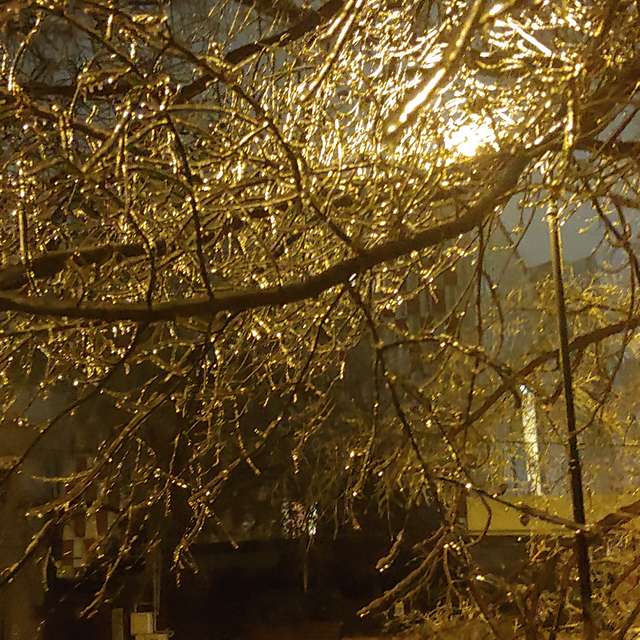 Fotos del De pie. Pronósticos del tiempo con hermosas fotos de 2Lex7 en Bucharest