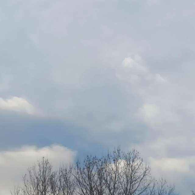 Fotos del Caminando. Pronósticos del tiempo con hermosas fotos de YanBog en Bucharest