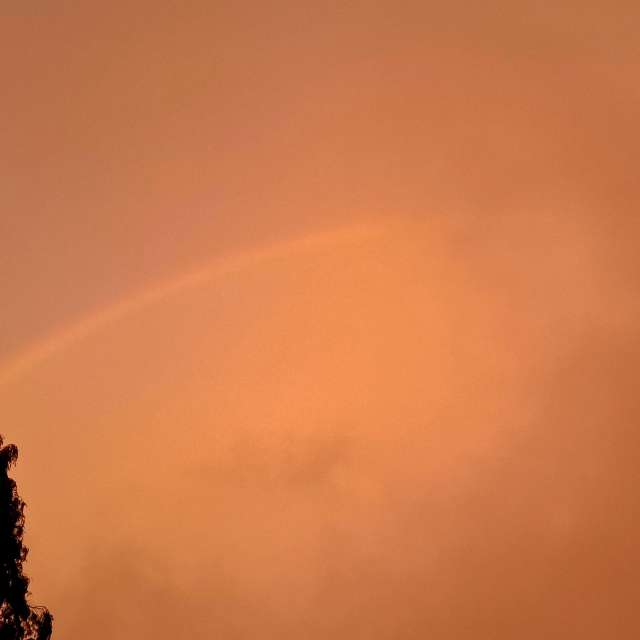 Previsões do tempo com lindas fotos de Lolli