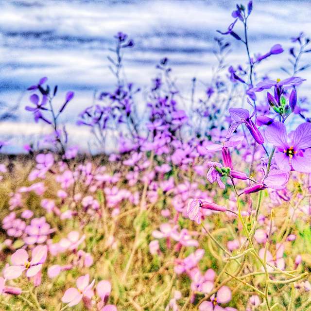 Weather forecasts with beautiful photos by ElCatorce