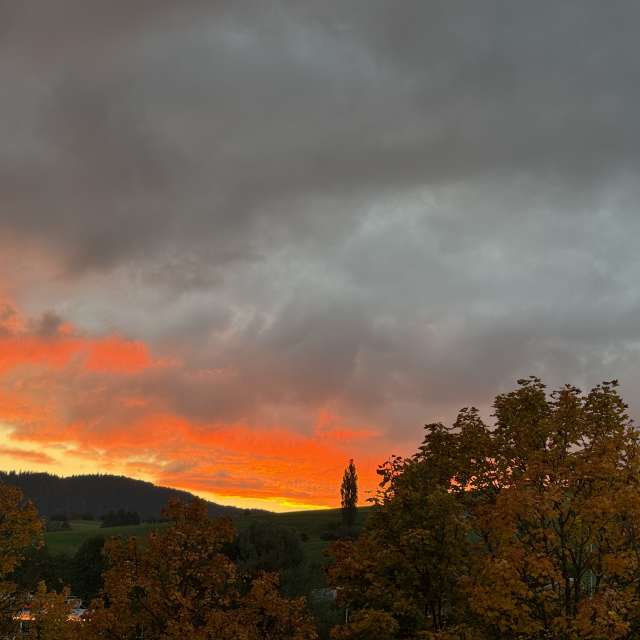 Photos météo à Monde. Prévisions météo avec de superbes photos de SwissEloi