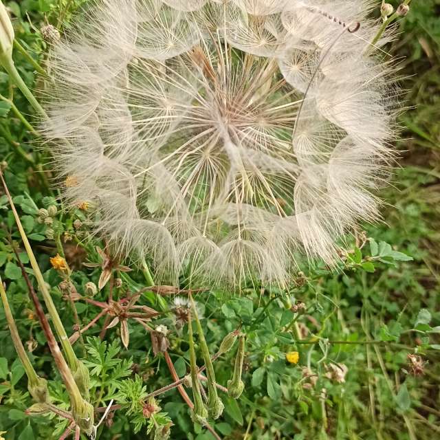 High. Weather forecasts with beautiful photos by BIKOTRAVEL Photos in Madrid